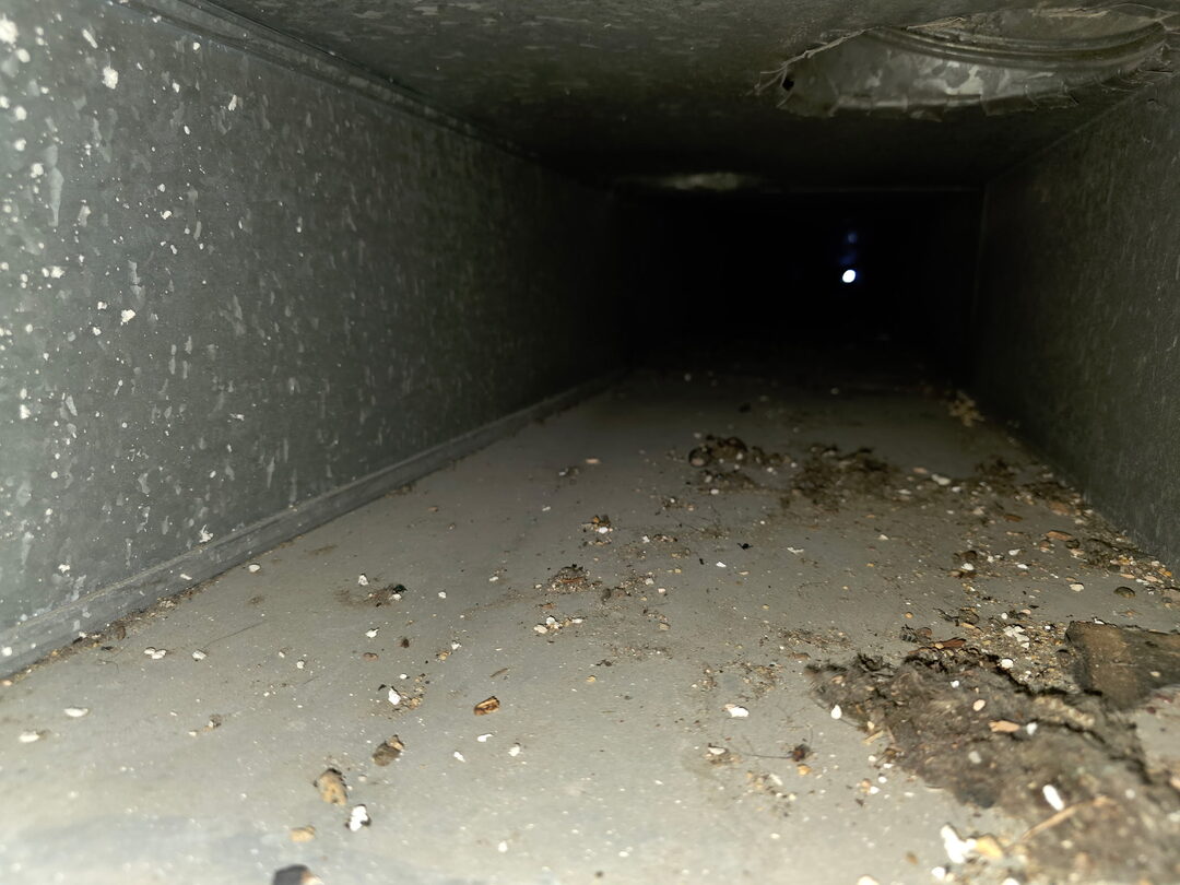 Air duct full of debris before cleaning