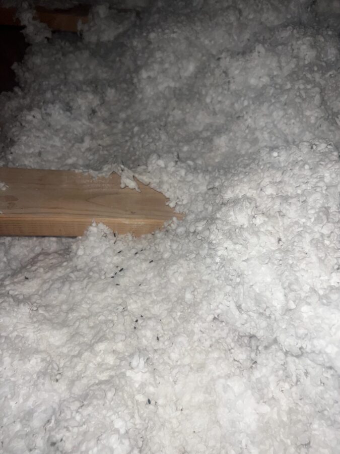 Attic insulation removed and cleaned out